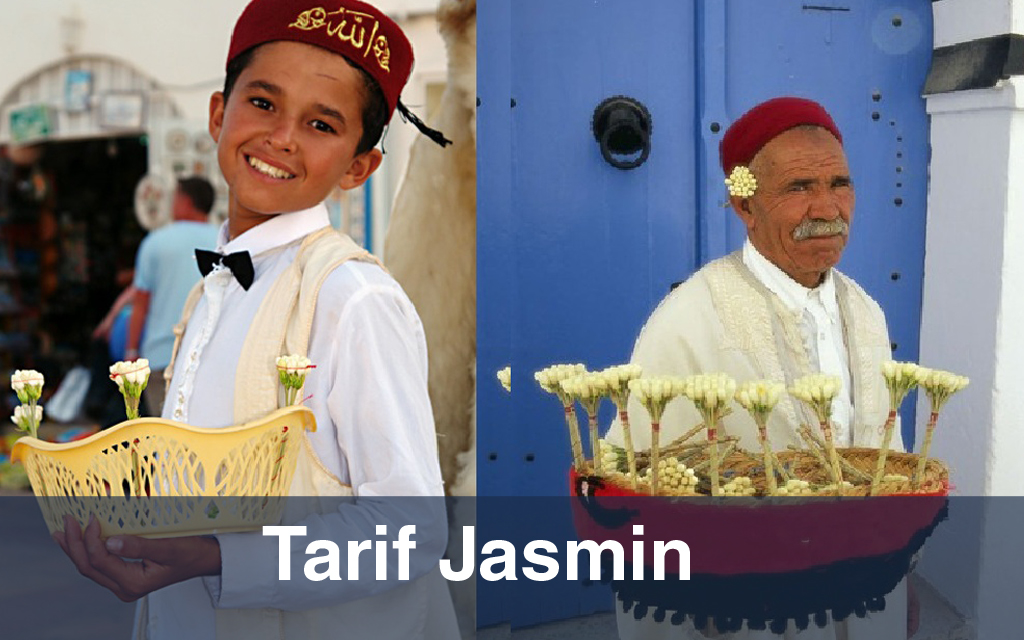 Tarif Jasmin