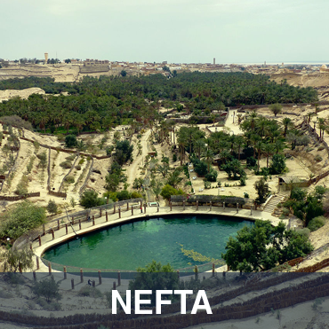 Nefta