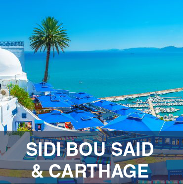 Sidi Bou said & Carthage