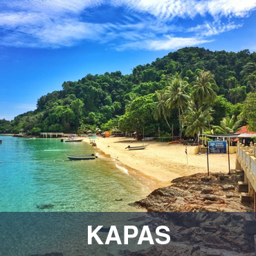 Kapas