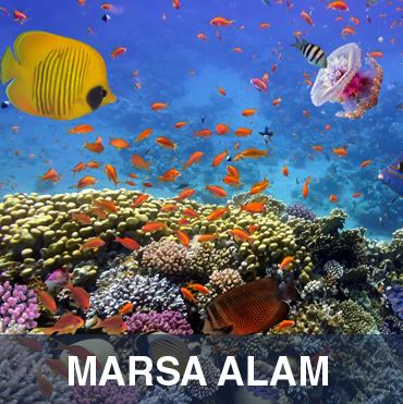 Marsa Alam