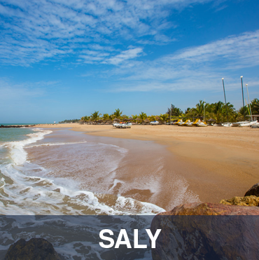 Saly