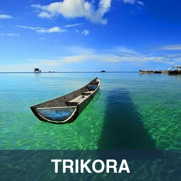 Trikora